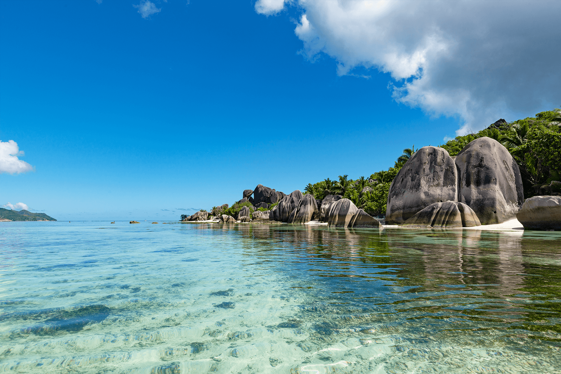 Seychellen Pelikaan Vakantiebeurs